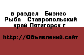  в раздел : Бизнес » Рыба . Ставропольский край,Пятигорск г.